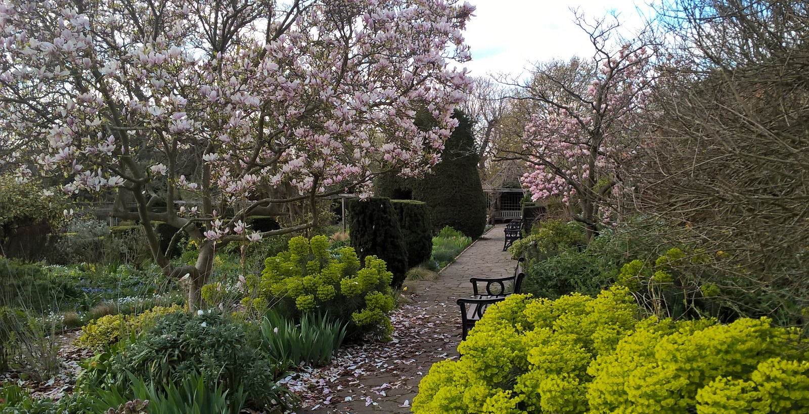 Brockwell Walled garden