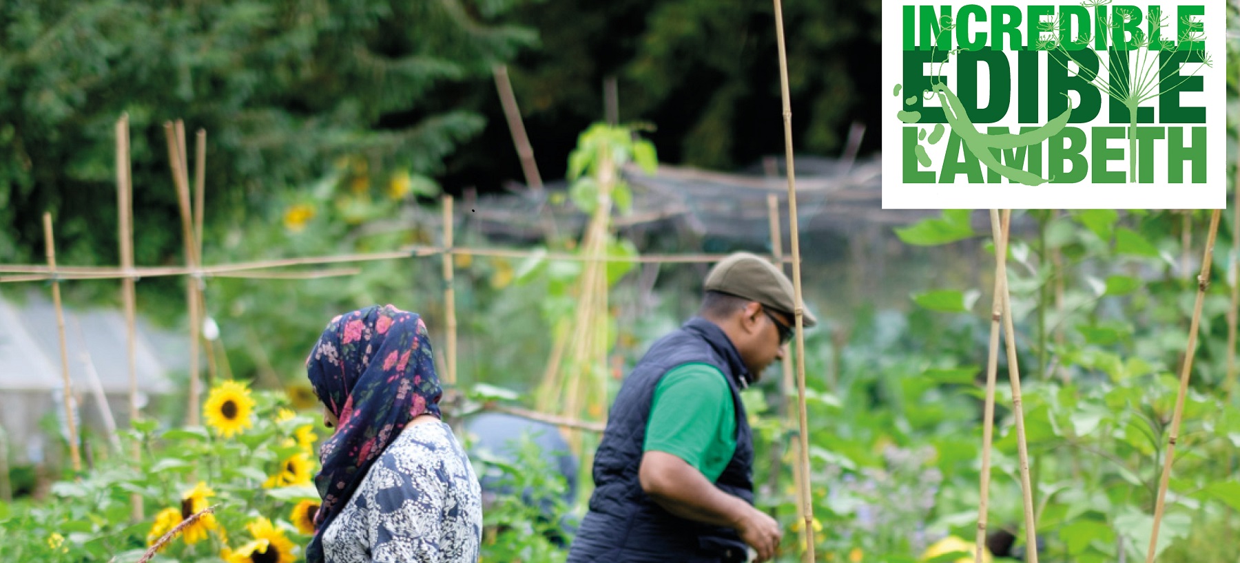 Blooming Lambeth Green and Growing Gardens Awards 2021