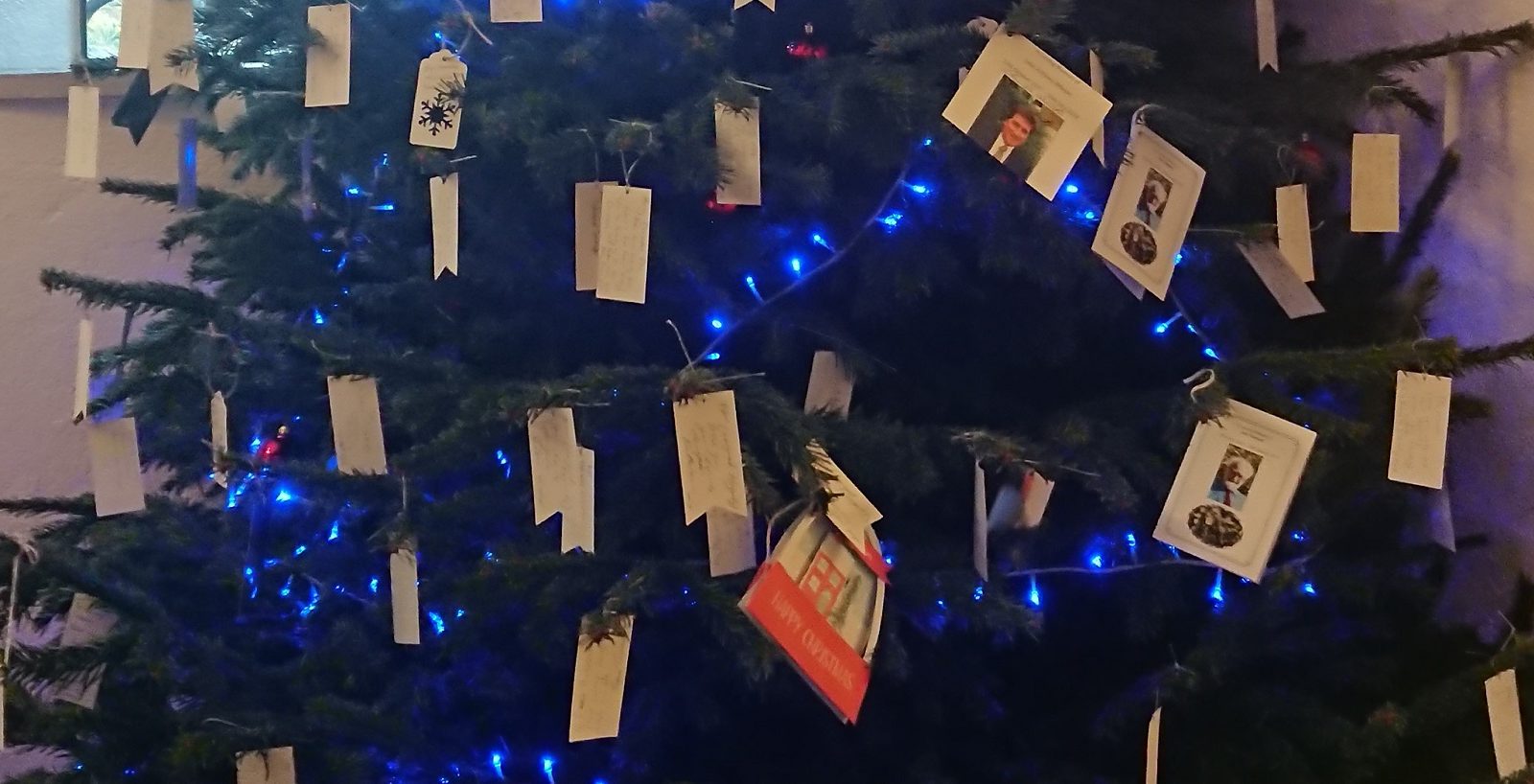 memory tree with remembrance cards
