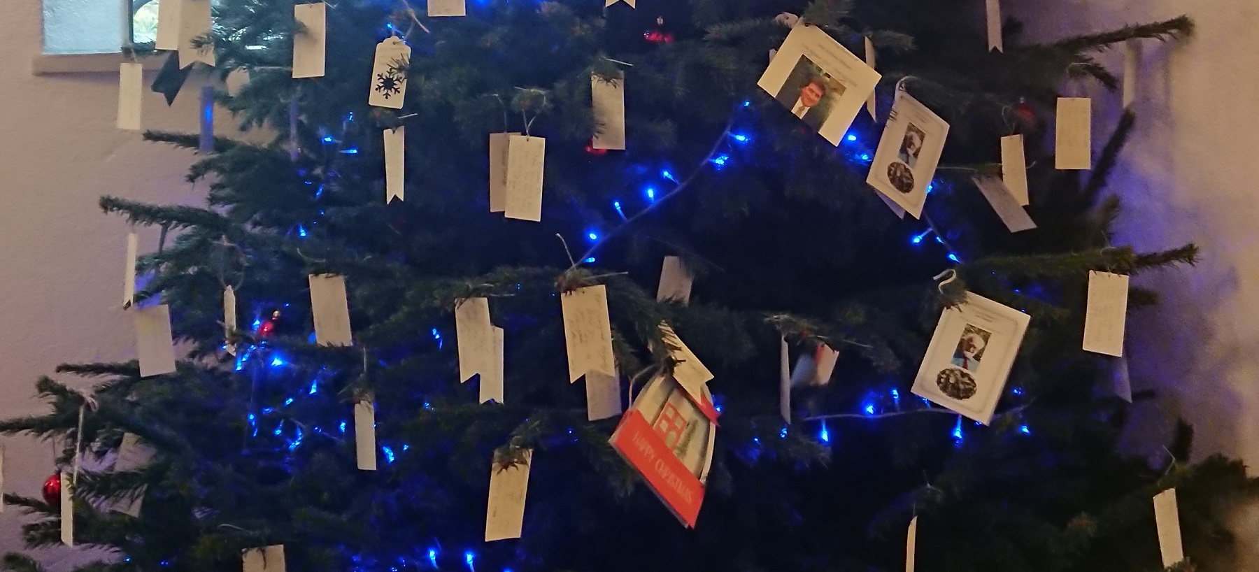 memory tree with remembrance cards