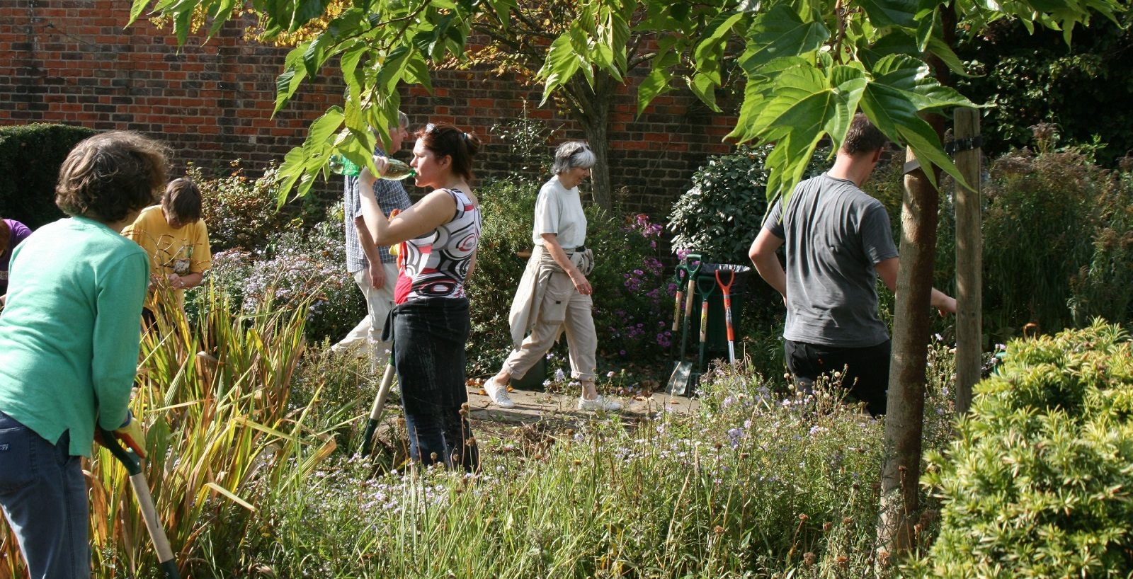 volunteer day in walled garden