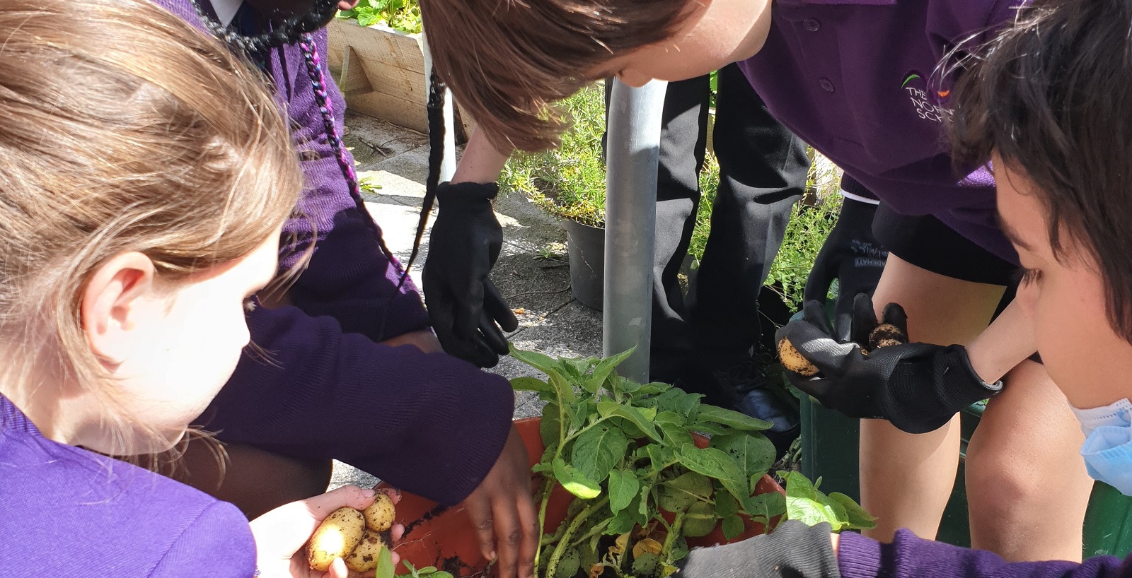 close up of students in the new gardens at Norwood school