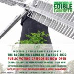 Blooming Lambeth public vote flyer