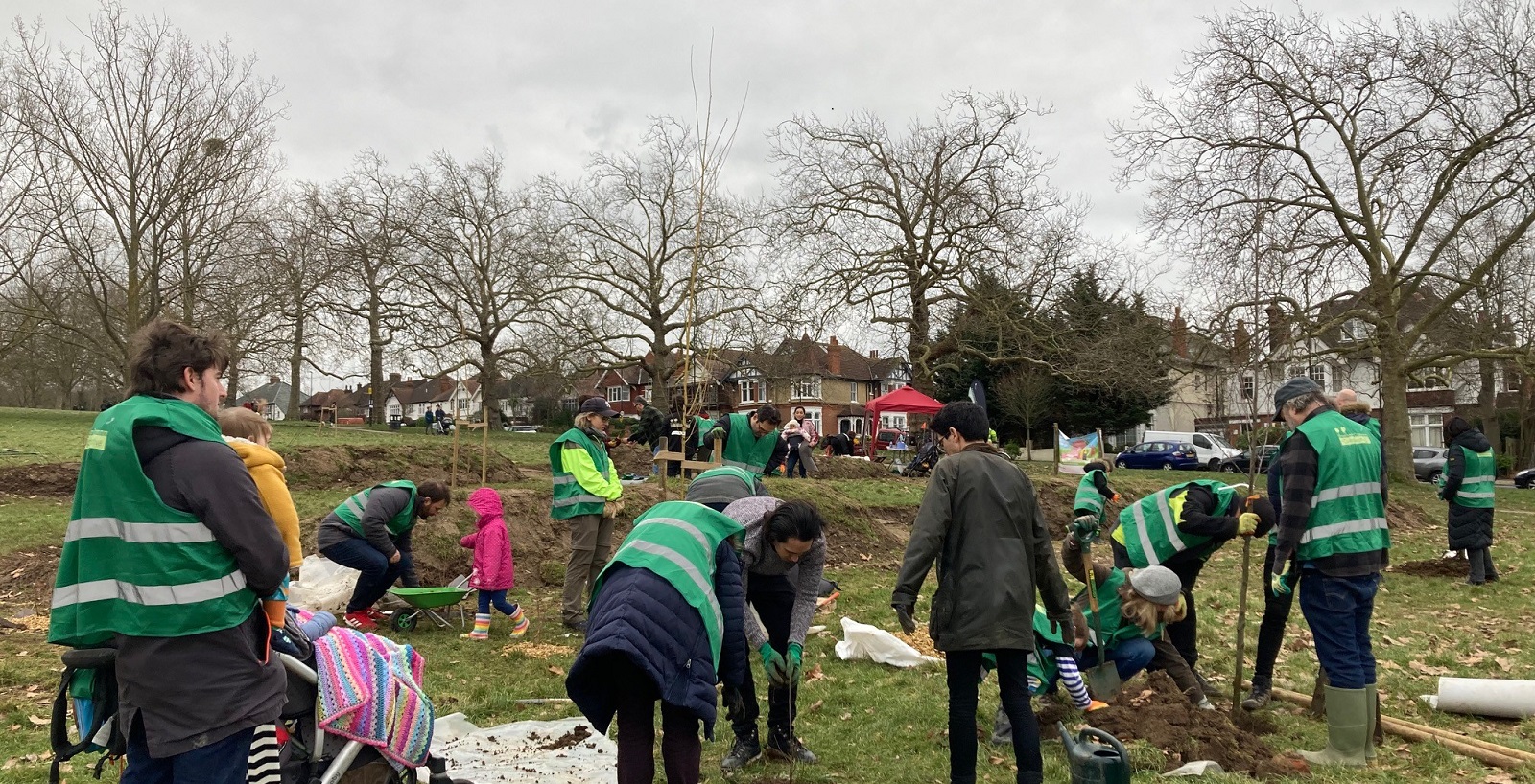 Streatham common willow wood planting