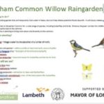 Streatham Common Willow Raingarden poster showing birds & plants that the new wood will become a habitat for