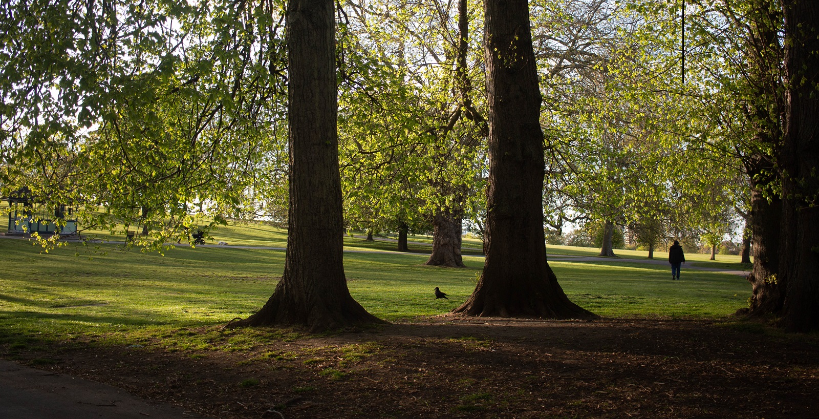 Rewilding for conservation in Brockwell Park