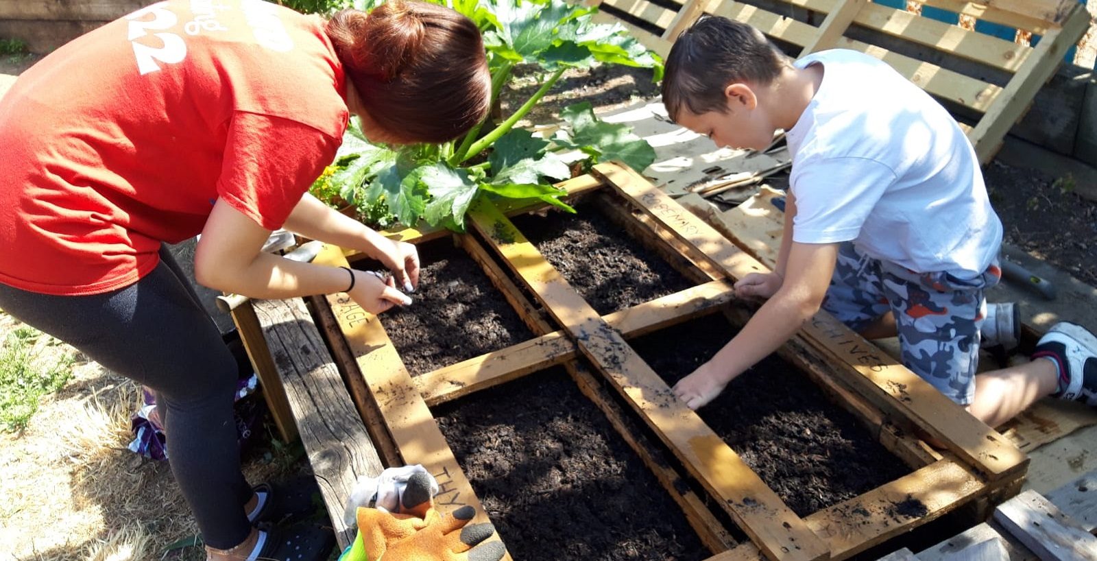 parent & child planting vegetables
