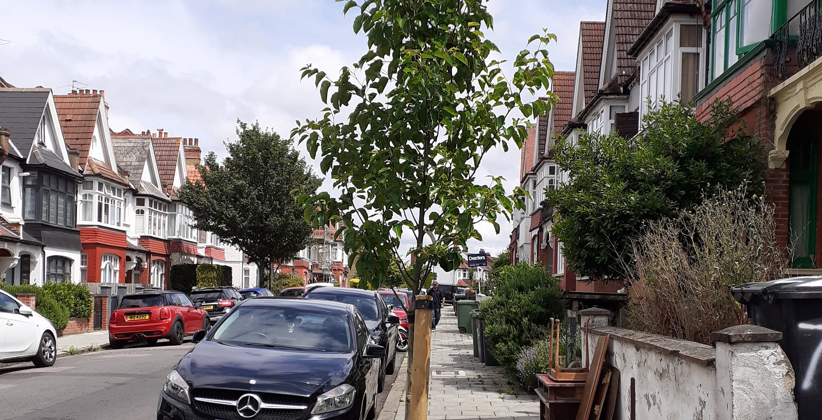 Help Lambeth’s trees survive the heat