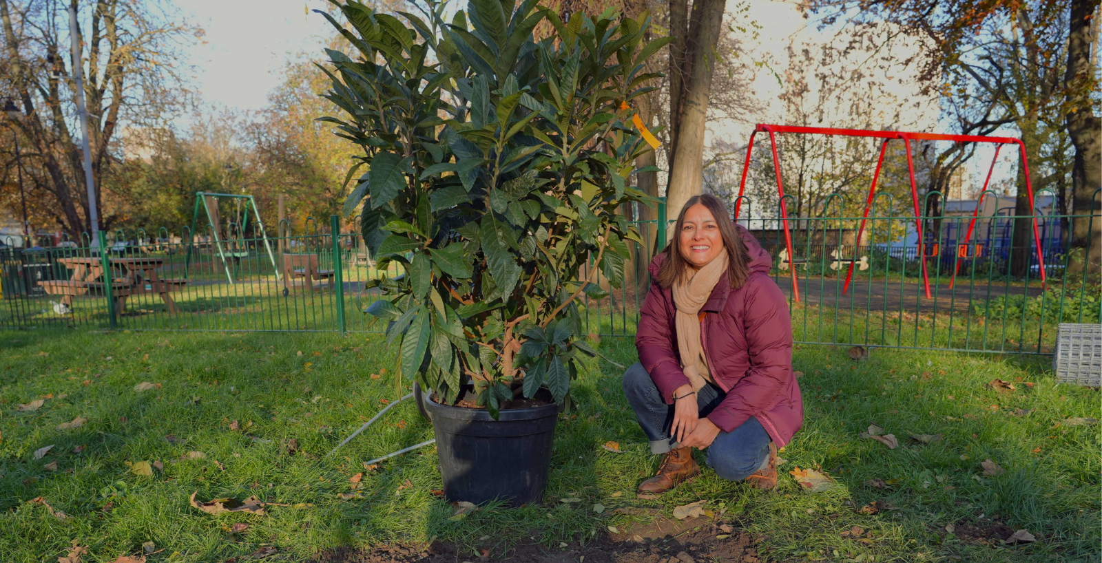 Lambeth sets out vision for 5,000 new trees