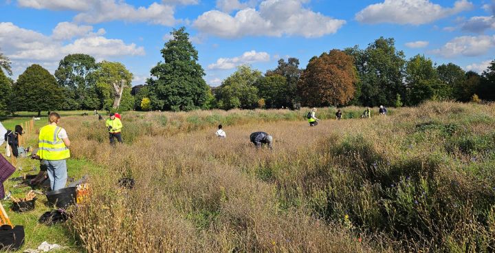 Friends boost biodiversity in Brockwell Park