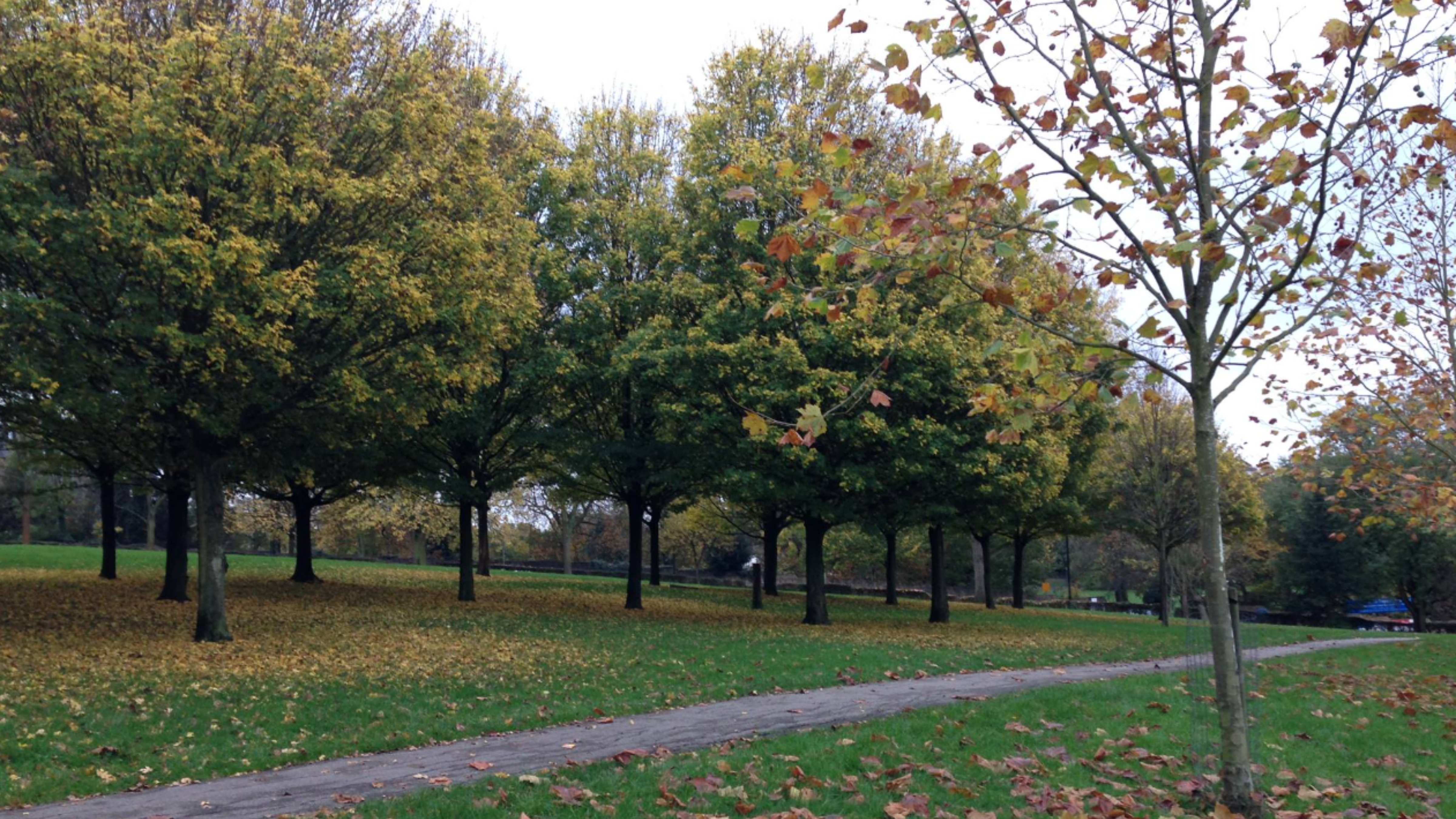 Lambeth Council Approves £1.4m Sustainable Drainage System for Norwood Park