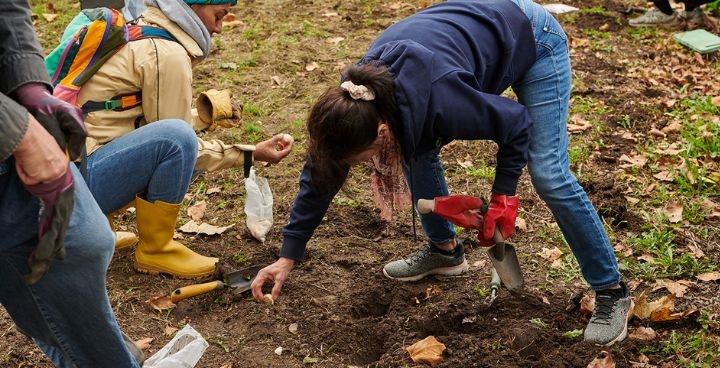 volunteers planting bulbs at Lambeth Walk Doorstep Green