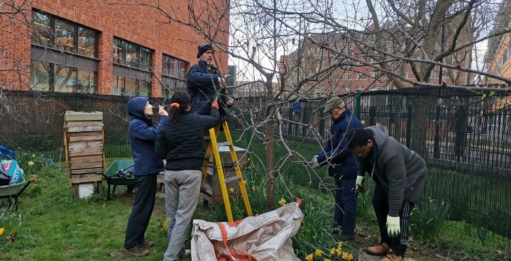 volunteer gardeners in Archbishops Park