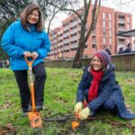 Planting wildflowersto create Lambeth Bee Roads