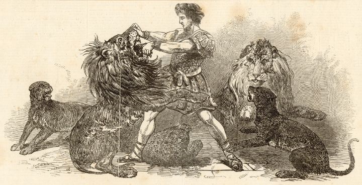 Illustration of Victorian Circus act - man holding lion's jaws o[pen