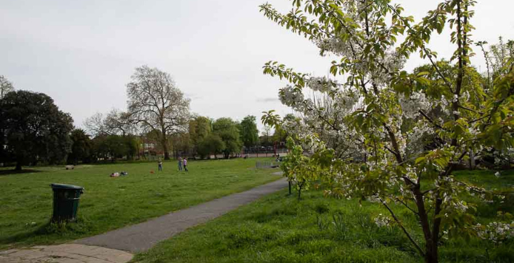 Agnes Riley Gardens