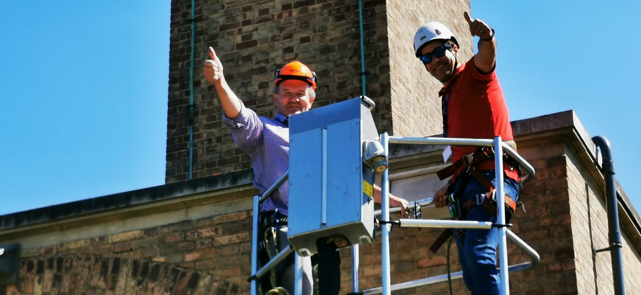 Lambeth: Ensuring swifts can thrive and building awareness